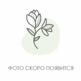 Цветы в коробке «Сладкий каприз» от интернет-магазина «Golden Flow» в Пскове