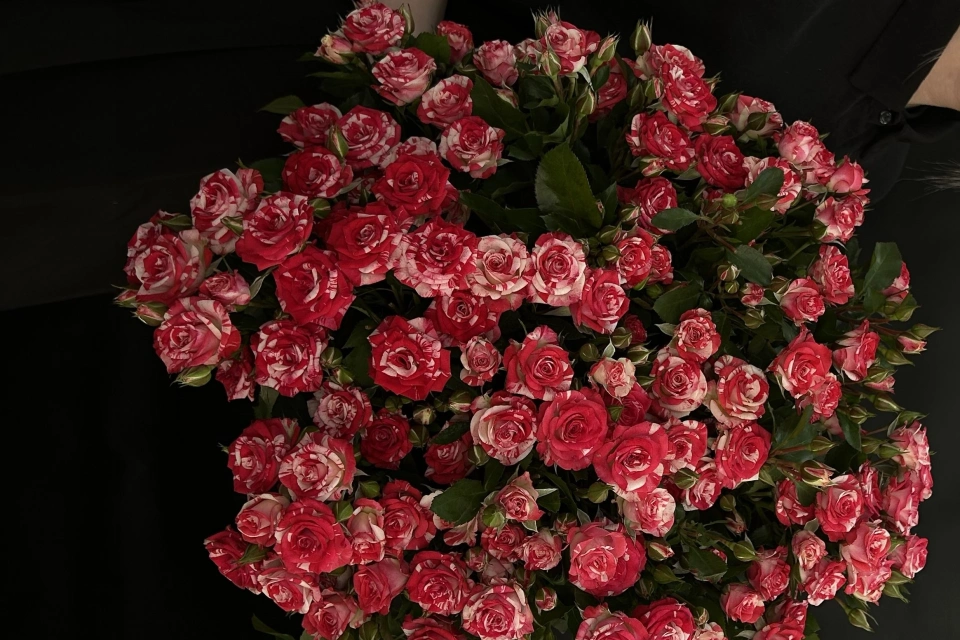 Наши работы