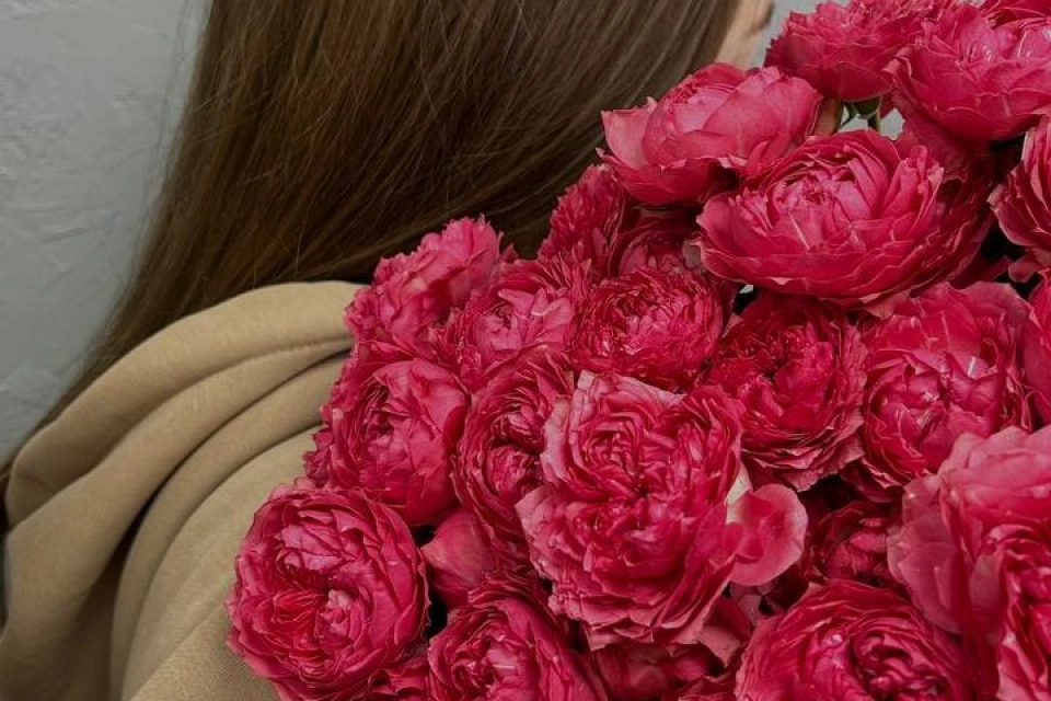 Наши работы