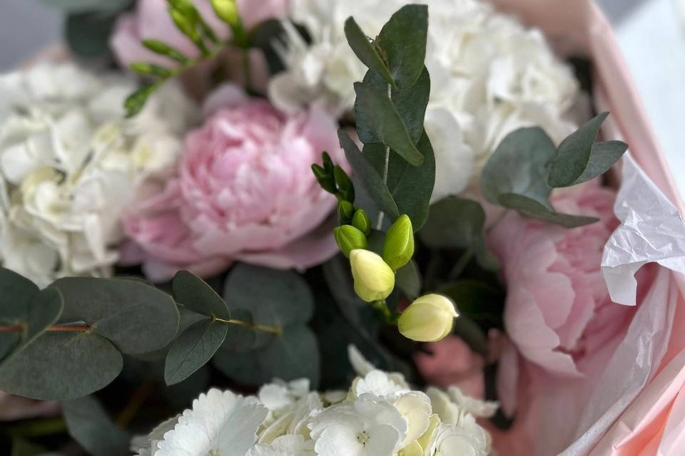 Наши работы