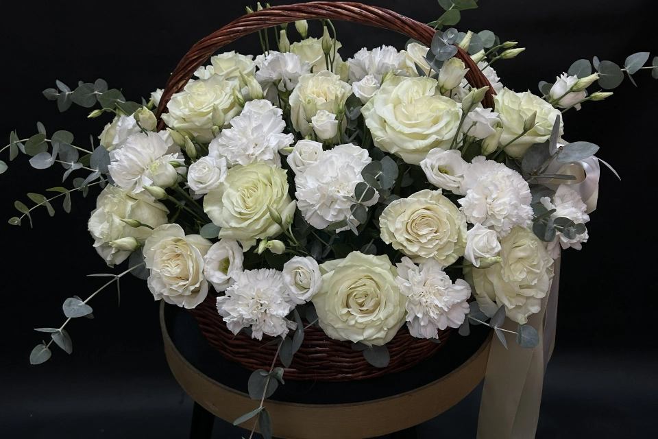 Наши работы