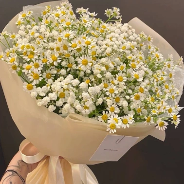 Букет из гипсофилы и ромашек