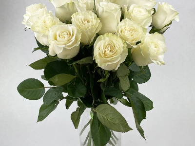 Букет из белых роз «Классика»
