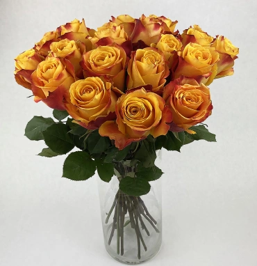 Букет из роз «Сказка»