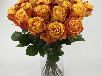 Букет из роз «Сказка»