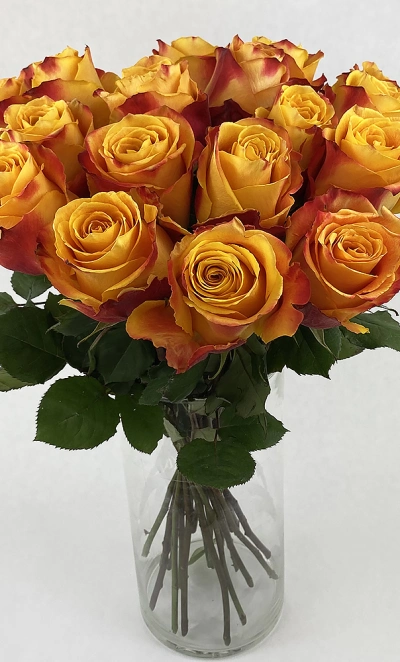 Букет из роз «Сказка»