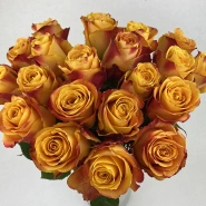 Букет из роз &laquo;Сказка&raquo; 1