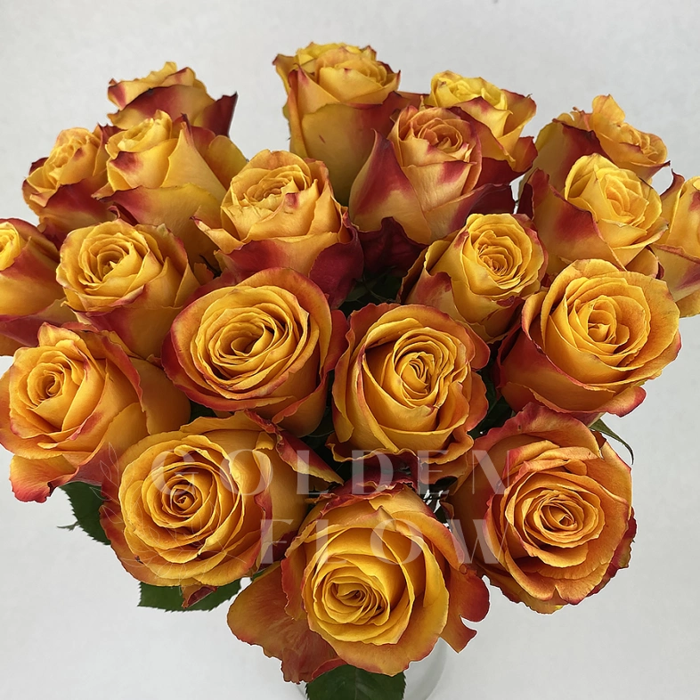 Букет из роз &laquo;Сказка&raquo;