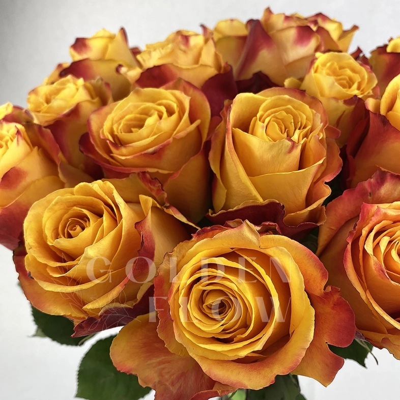 Букет из роз &laquo;Сказка&raquo;