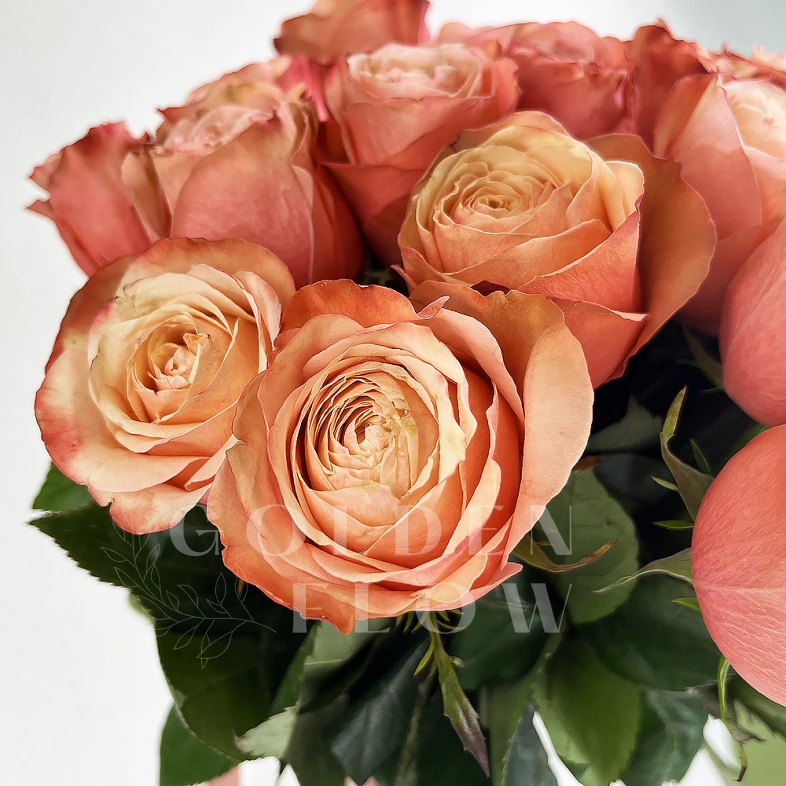 Самой любимой