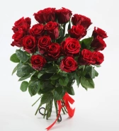 Лаконичность 0