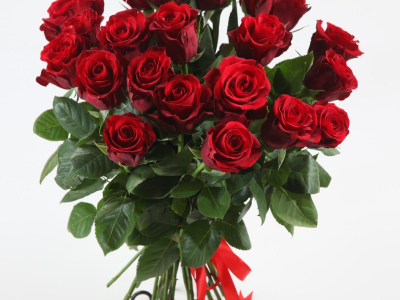 Лаконичность