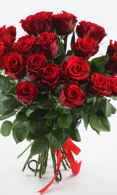 Лаконичность