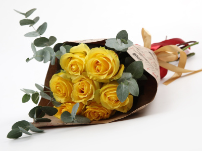 Солнечный зайчик