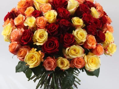 Букет из 75 разноцветных роз
