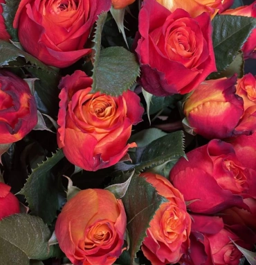 Монобукет «Атомик»