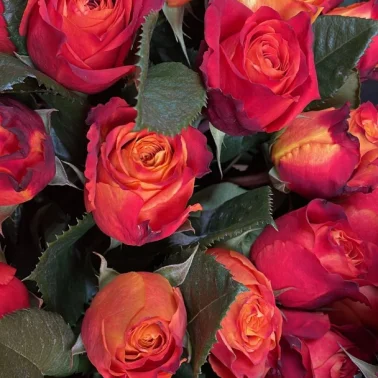 Монобукет «Атомик»