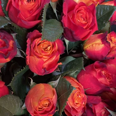 Монобукет «Атомик»