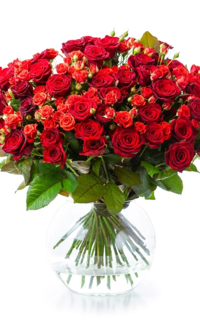 Мечта любой