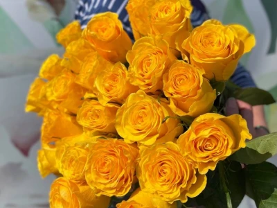 Желтые розы
