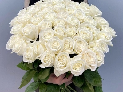 51 белая роза под ленту