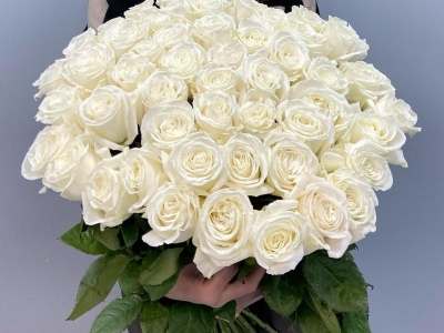 51 белая роза под ленту