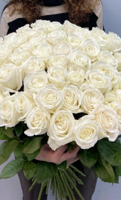 51 белая роза под ленту