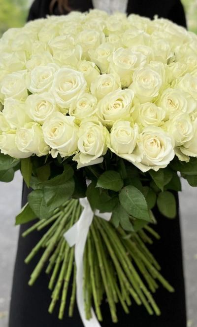 101 белая роза под ленту