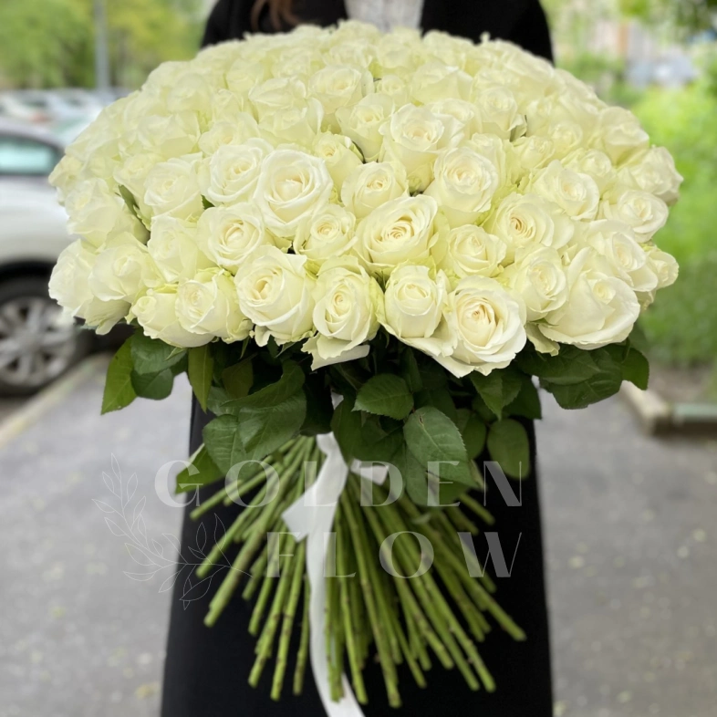 101 белая роза под ленту