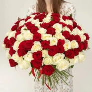 101 красно- белый микс из роз под ленту 0
