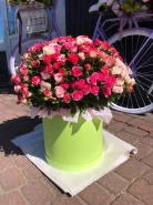 Большая коробка с кустовой розой и зеленью 0