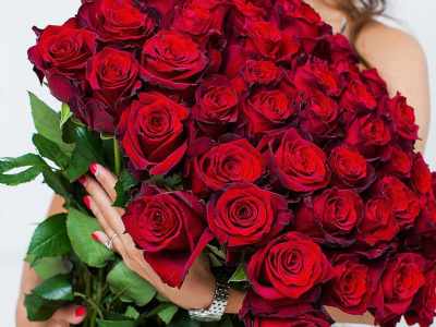 51 красная роза