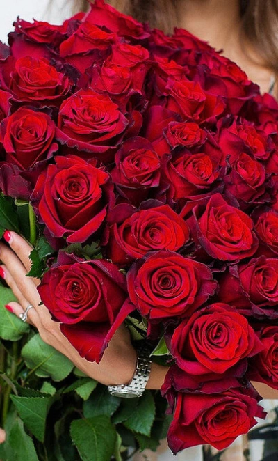 51 красная роза