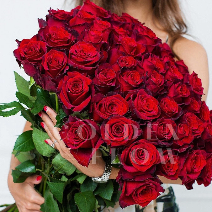 51 красная роза