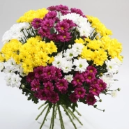 Прекрасный день 0