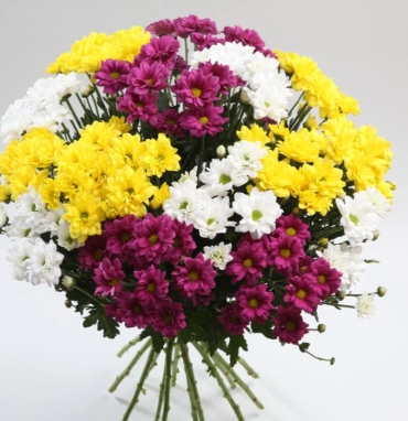 Прекрасный день