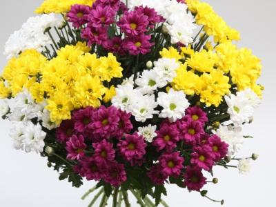 Прекрасный день