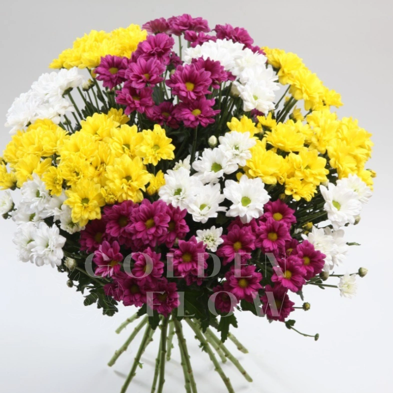 Прекрасный день