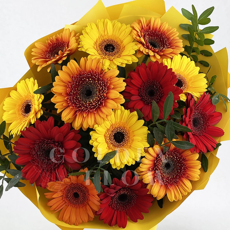 Букет из гербер &laquo;Для тебя&raquo;