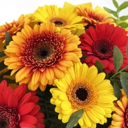 Букет из гербер &laquo;Для тебя&raquo; 3
