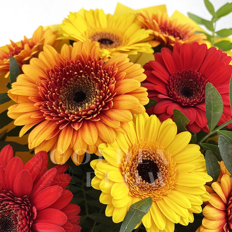 Букет из гербер &laquo;Для тебя&raquo;