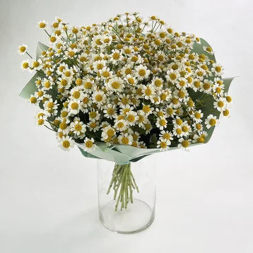 Букет из ромашек «Утренний привет»
