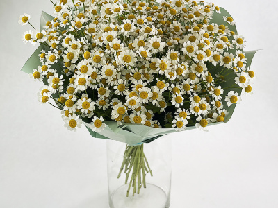 Букет из ромашек «Утренний привет»