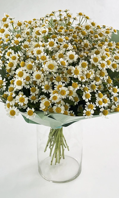 Букет из ромашек «Утренний привет»