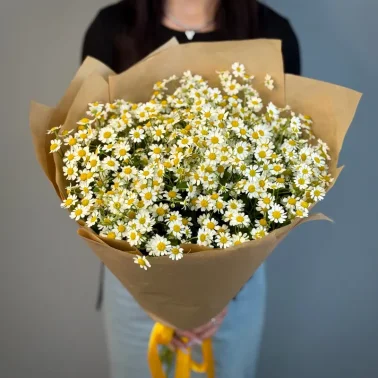 Букет из ромашек «Утренний привет»