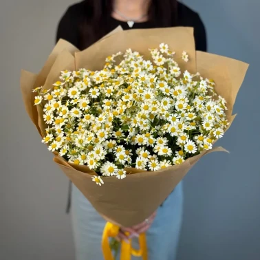 Букет из ромашек «Утренний привет»