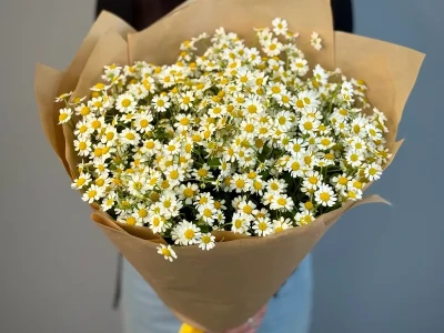 Букет из ромашек «Утренний привет»