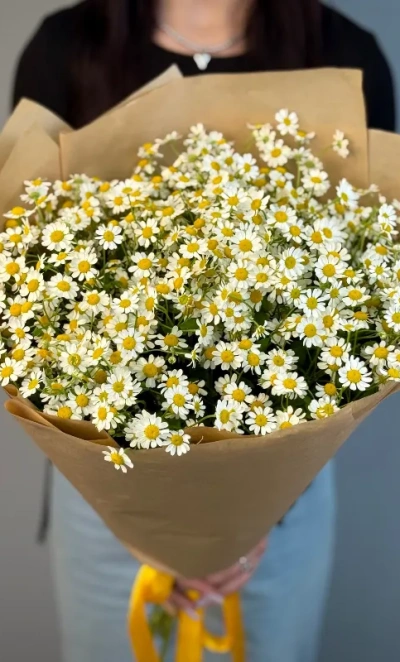 Букет из ромашек «Утренний привет»