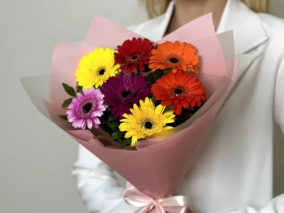 Букет из гербер микс  