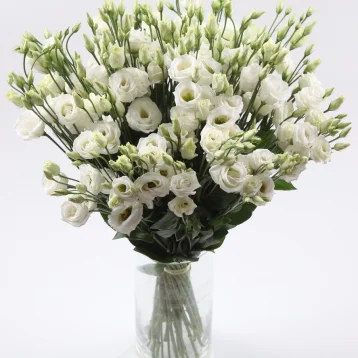 Букет из белых эустом